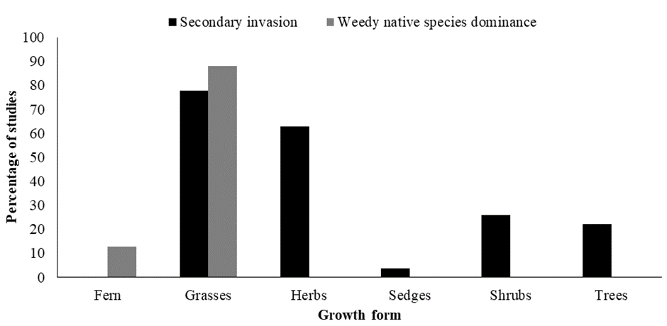 Percentage of studies on secondary invasion (n = 27) and weedy native species dominance (n = 8) in South Africa that identified ferns, grasses, herbs, sedges, shrubs and trees as secondary invaders and/or weedy native species
