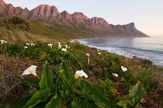 The Kogelberg Nature Reserve in the Cape Floristic Region World Heritage Site