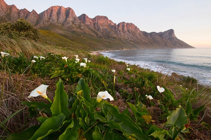 Read more about the article New monitoring and reporting framework aims to reduce the impacts of invasive alien species in World Heritage Sites