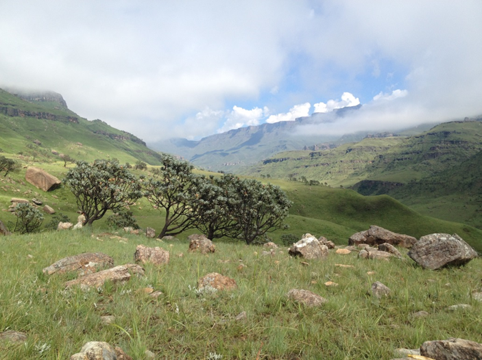 View up the Sani Pass valley from 1800 m asl.