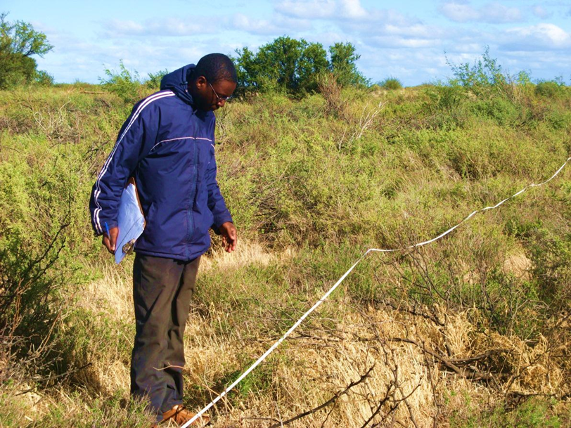 Thabisisani Ndhlovua conducting vegetation surveys at a study site near Beaufort West in the Nama Karoo, Western Cape, South Africa.