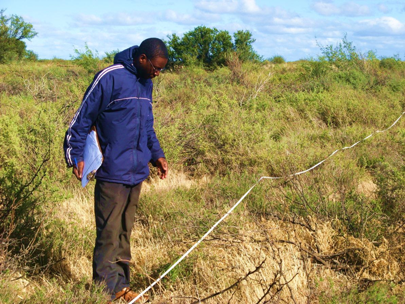 Read more about the article Effects of Prosopis invasions and clearing on Nama karoo rangelands