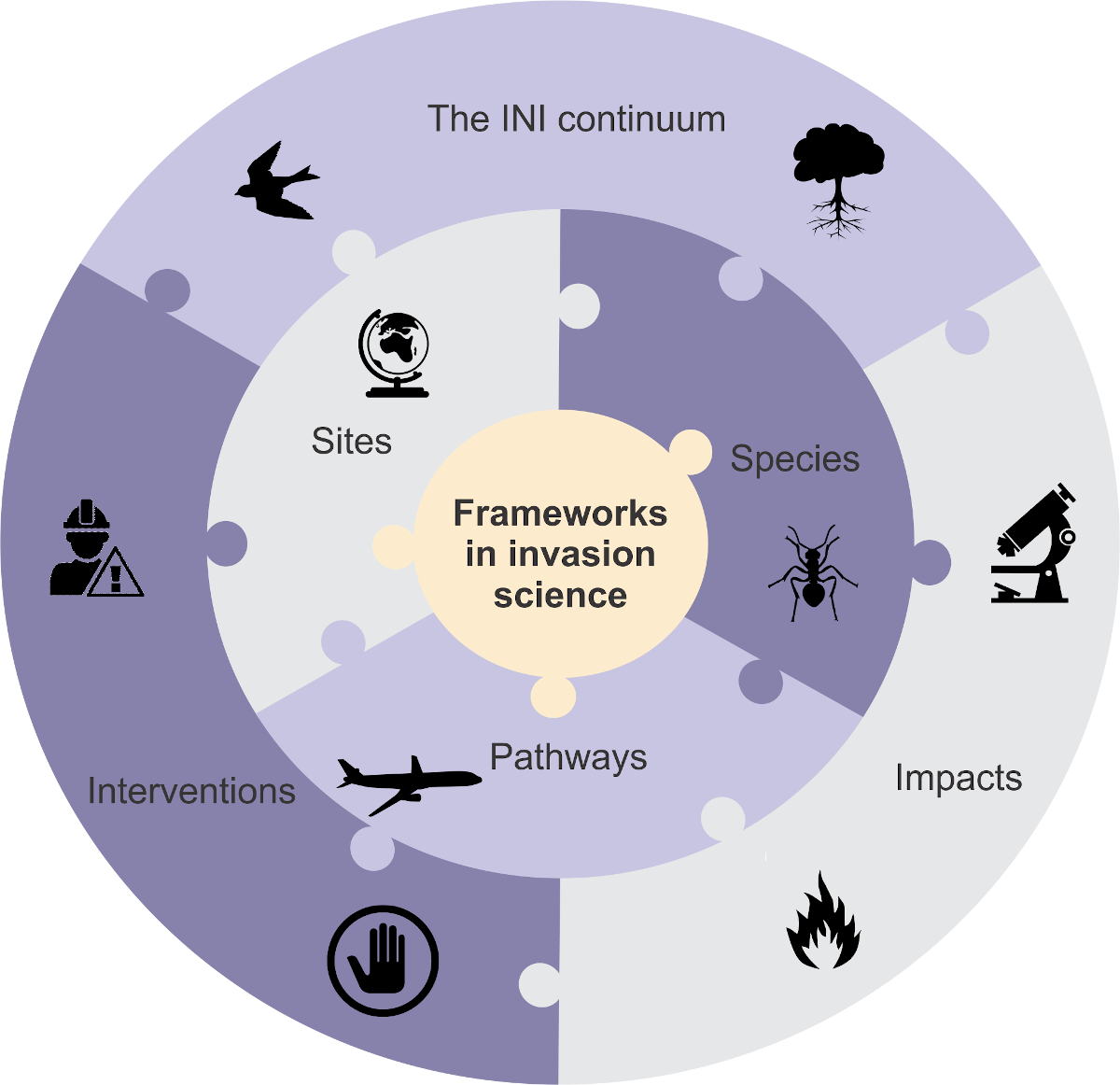 Read more about the article Bumper journal special issue on “Frameworks used in Invasion Science” from C·I·B workshop