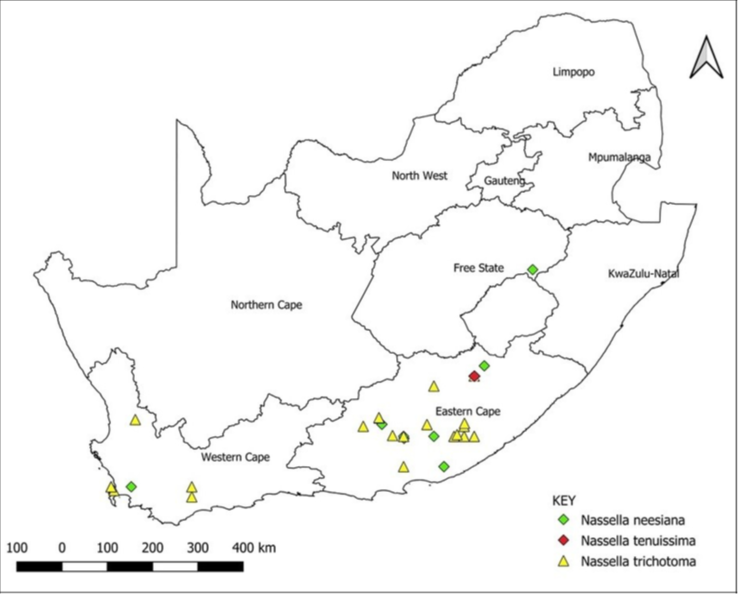 The known distribution of Nassella neesiana, Nassella tenuissima and Nassella trichotoma in South Africa