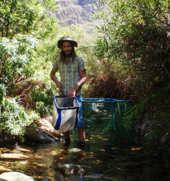 Jeremy Shelton sampling fish in the headwater streams of the upper Breede River catchment