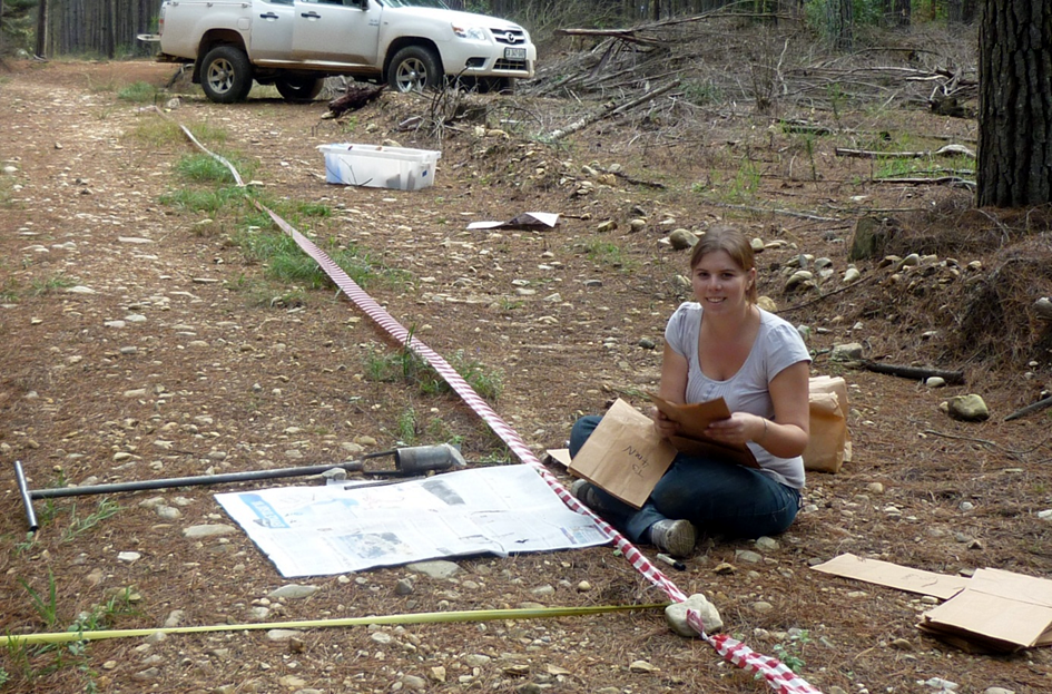 Haylee Kaplan collecting soil core samples along a plantation road