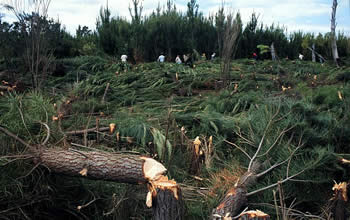 Read more about the article Proactive land management can help reduce natural disasters