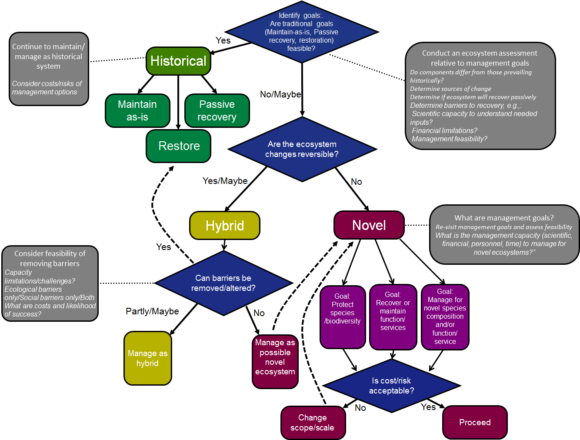 Flowchart showing a developing framework to guide major decisions to be made on interventions in historic, hybrid and novel ecosystems.