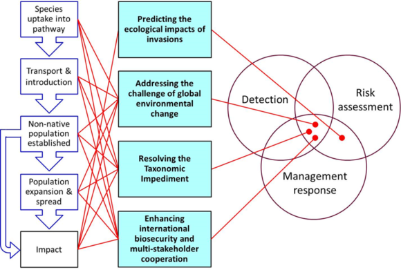 Figure 1. Four priority issues (centre column) for invasion science.