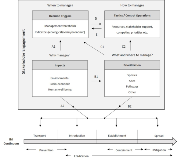 A framework of key considerations for establishing invasive alien species (IAS) management thresholds to inform decision-making in urban areas and how they relate to the stages of invasion