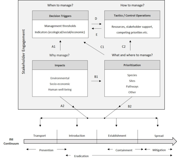 Read more about the article What informs decisions to manage urban biological invasions?