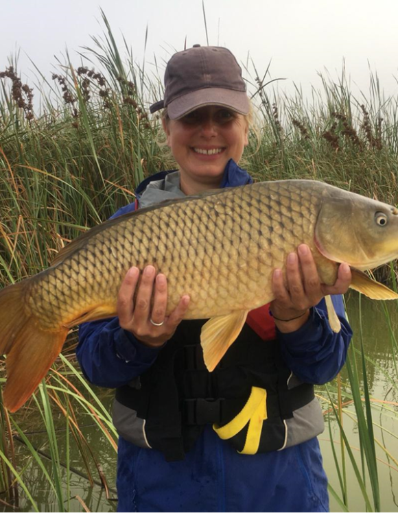 Dr Josie Pegg (South African Institute for Aquatic Biodiversity) with a South African common carp, Cyprinus carpio