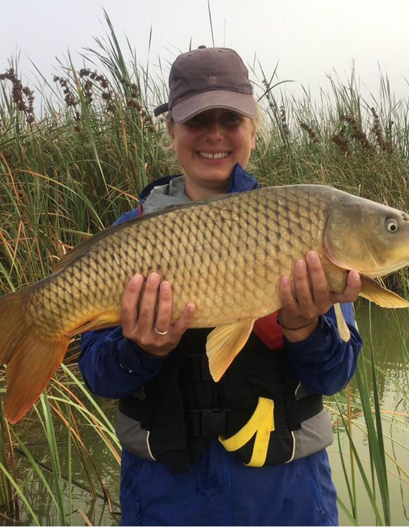Read more about the article Big trouble for little (crucian) carp