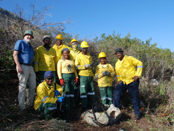 Read more about the article Twenty years of alien plant management in South Africa reviewed