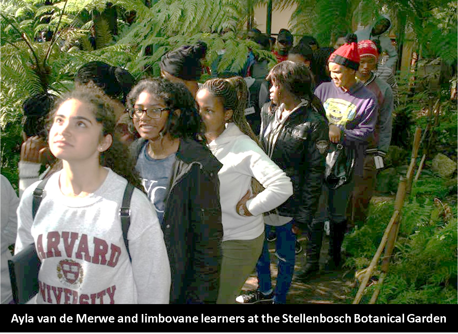 Read more about the article Biodiversity training from a learner’s perspective