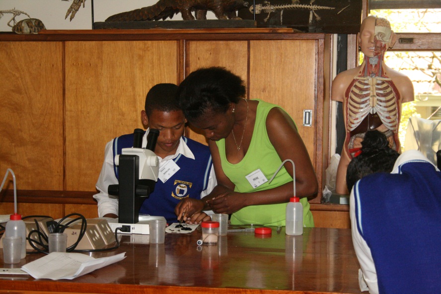 Read more about the article Basic microscopy training for Iimbovane learners