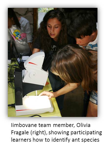 Read more about the article Iimbovane workshop a hit with Hermanus learners