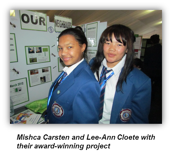 Read more about the article Iimbovane learners take award at International Science Fair