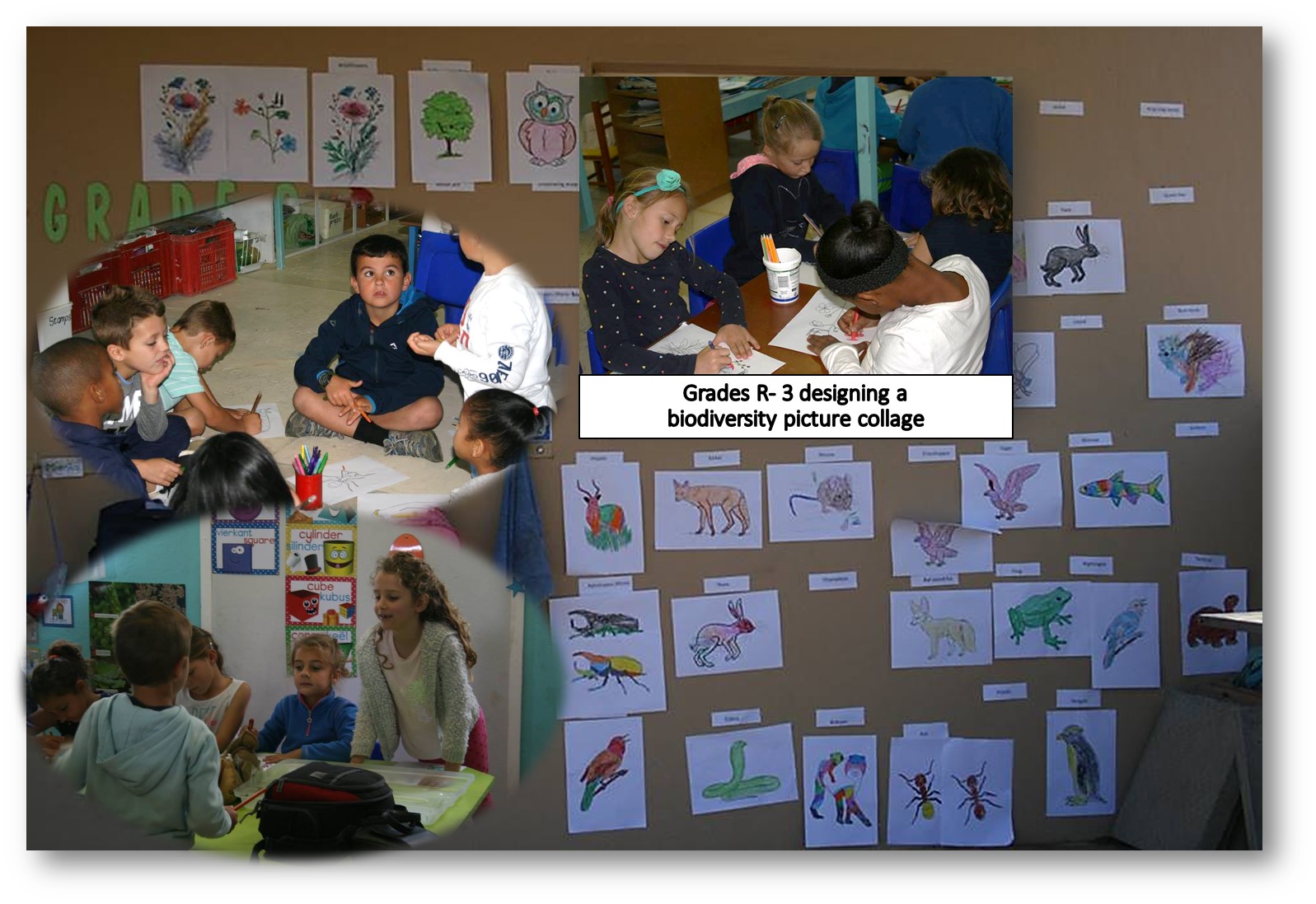 Read more about the article Celebrating Environmental Day with Rijk Tulbagh Primary