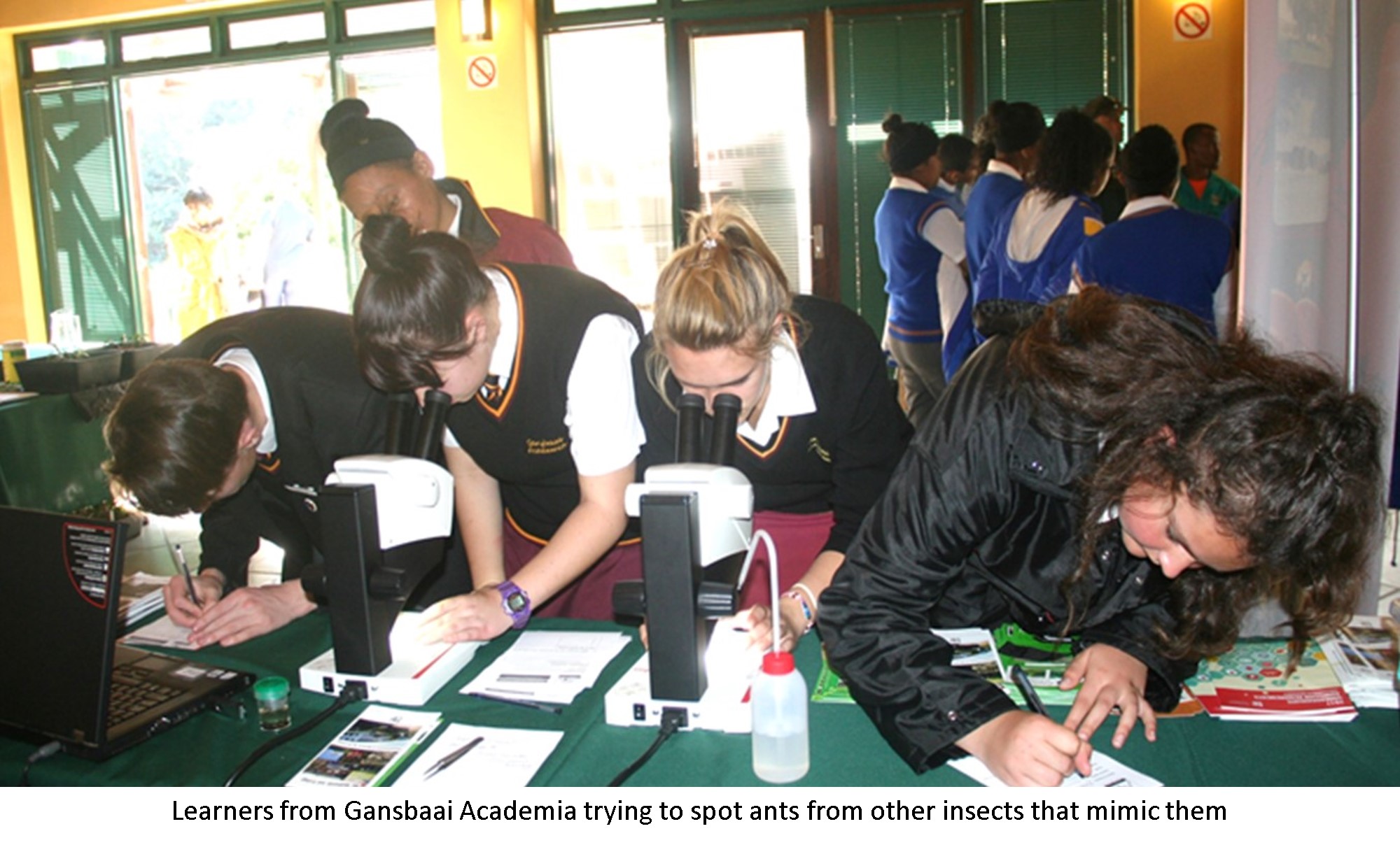 Read more about the article Iimbovane team sparks interest in biodiversity science at careers expo