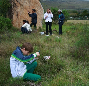 Read more about the article Iimbovane ant project treats learners at Scifest Africa 2011