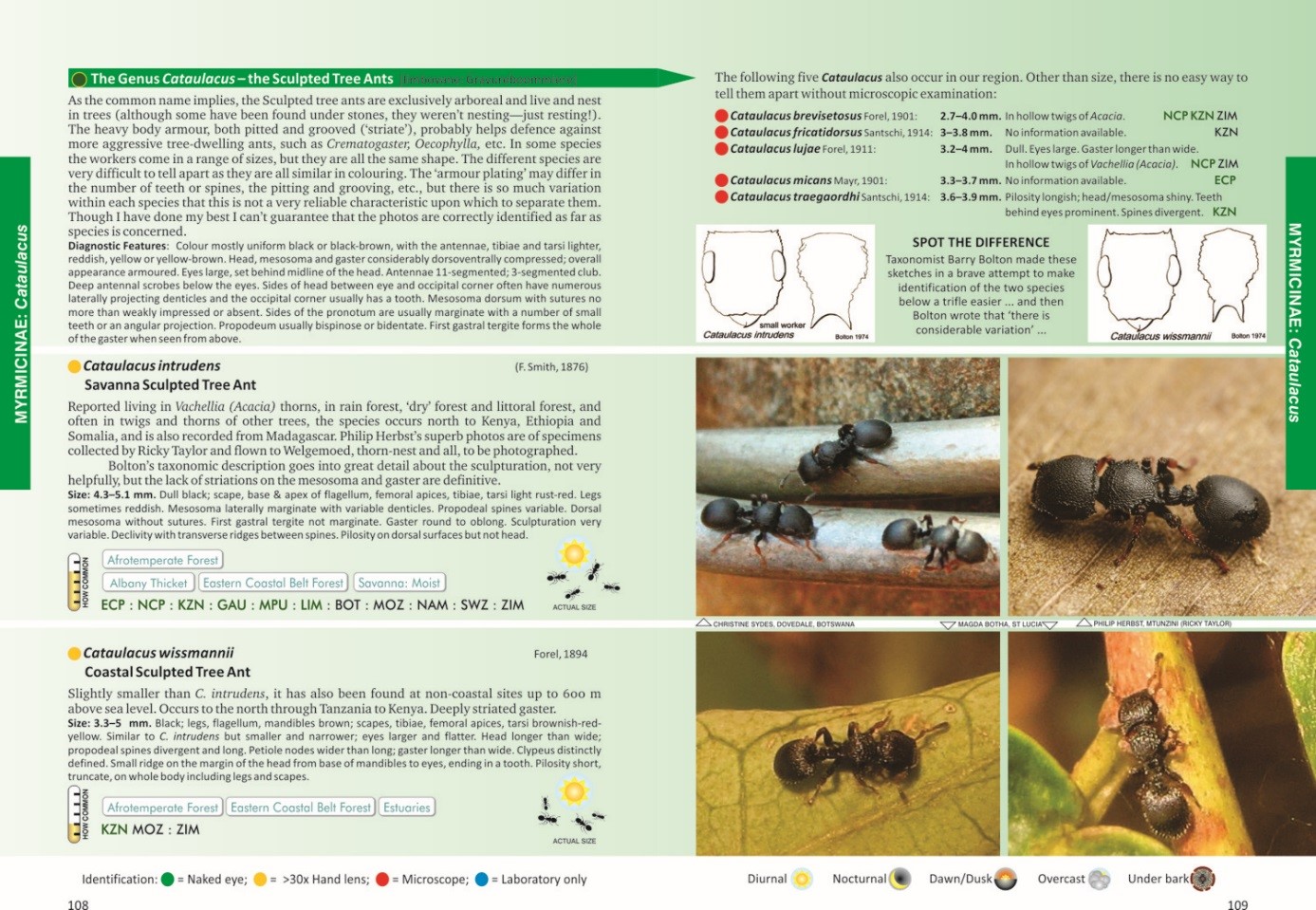 Read more about the article Exciting news in the “Ant World”!