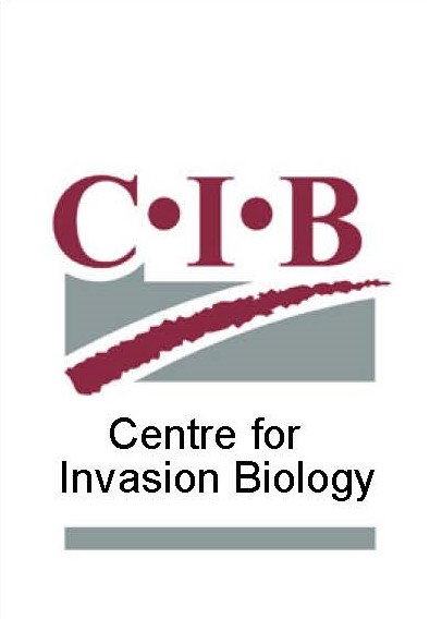 CIB Interim logo main_30AUG23 (002)