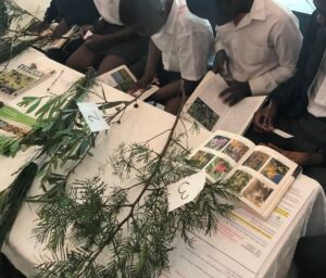 Read more about the article Learners explore careers in invasion science and entomology with Iimbovane