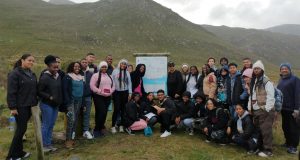 Read more about the article From plants to penguins: Iimbovane learners explore coastal diversity