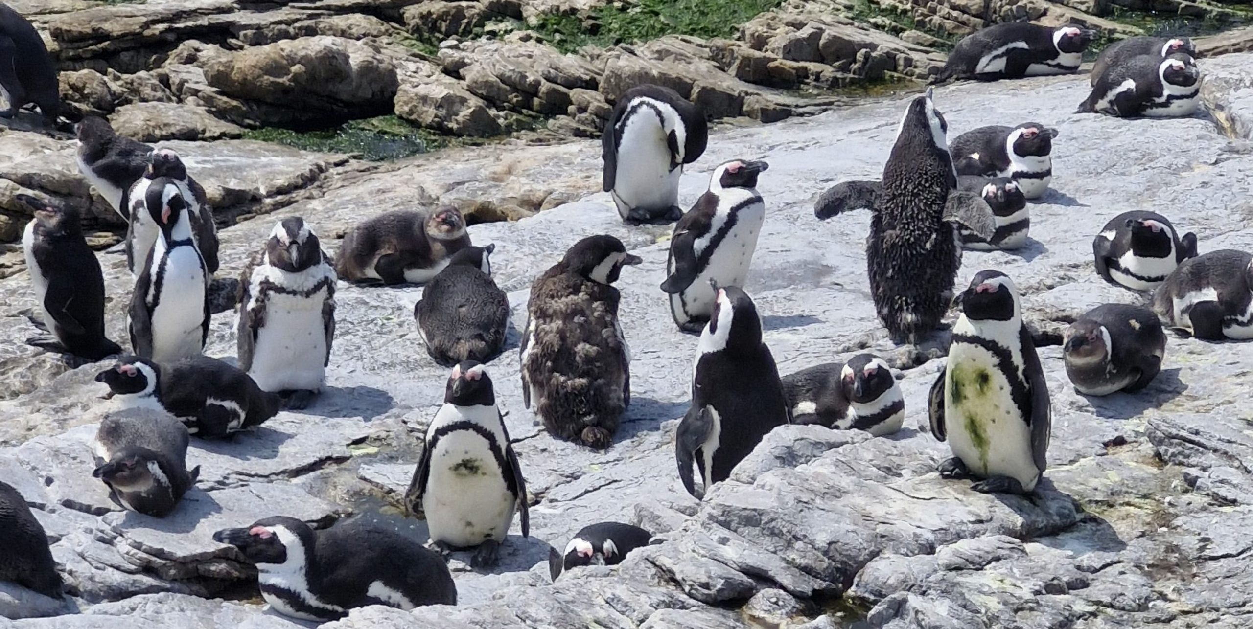 Iimbovane camp connects learners with Overstrand biodiversity