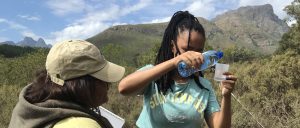 Read more about the article PGCE training: bridging the gap between biodiversity theory and practice