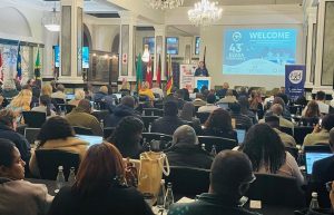 Read more about the article Iimbovane at 43rd Environmental Education Association of Southern Africa Conference