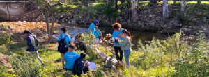 Read more about the article Conservation Leaders on the trail of invasive alien plants