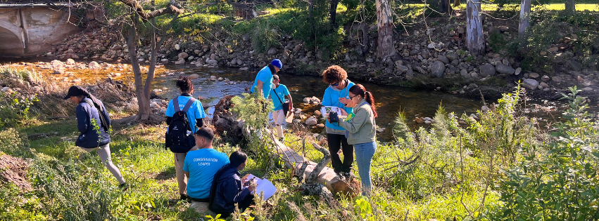 Read more about the article Conservation Leaders on the trail of invasive alien plants