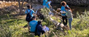 Read more about the article Conservation Leaders on the trail of invasive alien plants