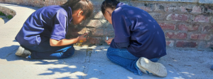 Read more about the article Lynedoch Community School – Ant Workshop
