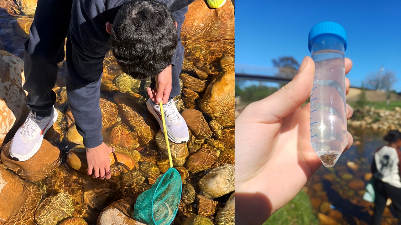 World Water Monitoring Day with Iimbovane