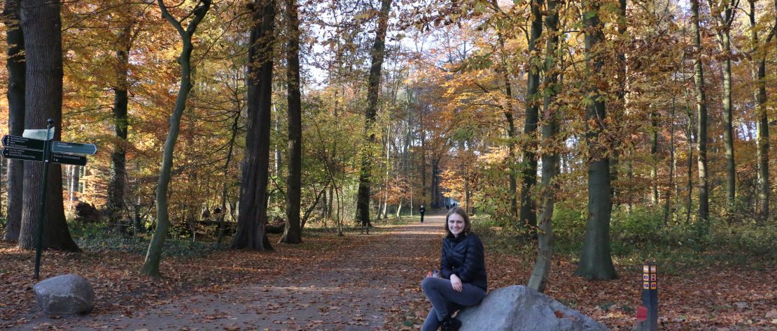 Nearby my apartment in Utrecht